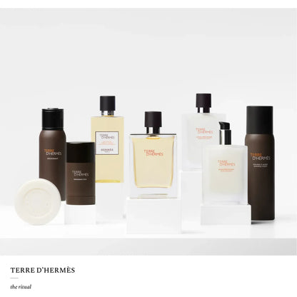 Terre D’hermes,Apa de toaleta,100ml