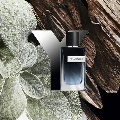 Y Men,Apa de parfum,100ml